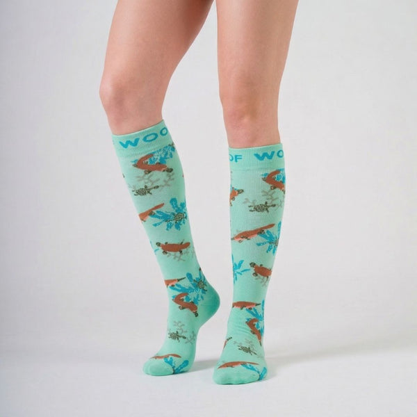 //sg.drwoofapparel.com/cdn/shopifycloud/storefront/assets/no-image-2048-a2addb12_grande.gif